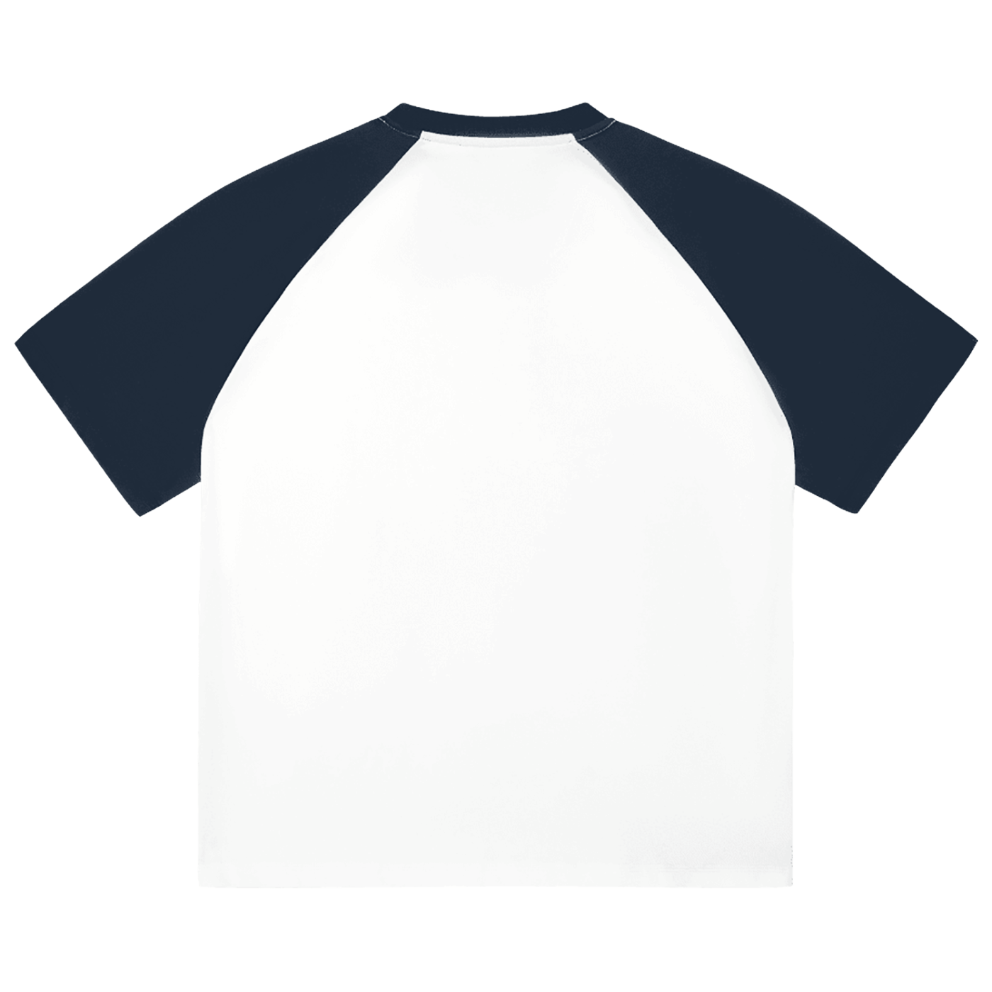 Color-Blocked Raglan Sleeve T-Shirt